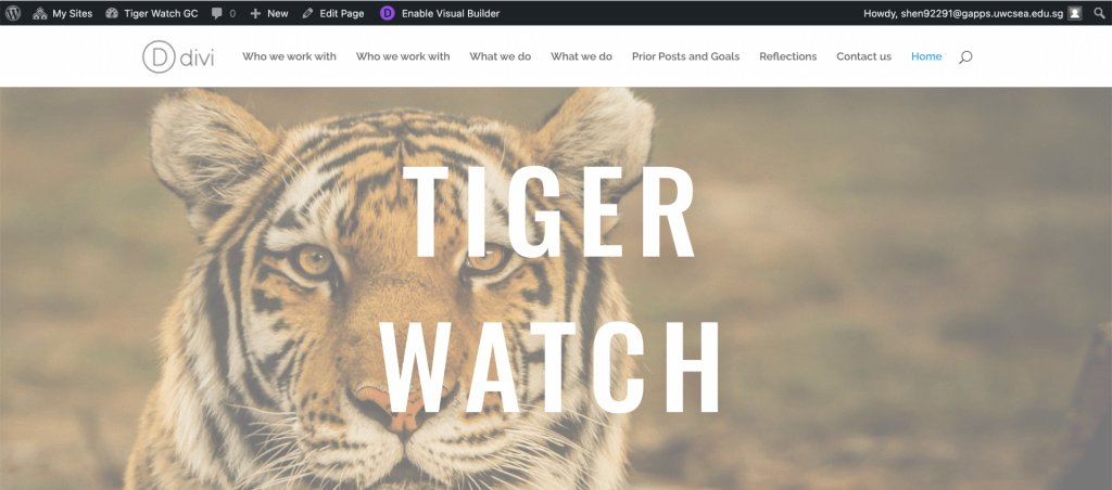 Tiger Watch Global Concerns (3)