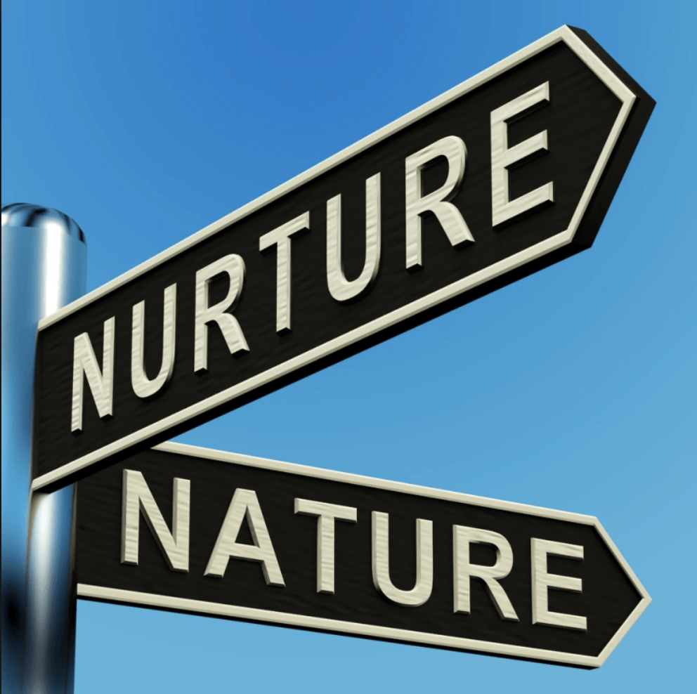 Identity: Nature VS. Nurture